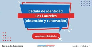 Cédula de identidad en los laureles (obtención y renovación) 4 Cedula de identidad para chilenos en araucania los laureles