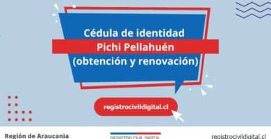 Cédula de identidad en pichi pellahuen (obtención y renovación) 5 Cedula de identidad para chilenos en araucania pichi pellahuen