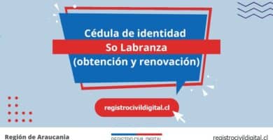 Cédula de identidad en so labranza (obtención y renovación) 9 Cedula de identidad para chilenos en araucania so labranza