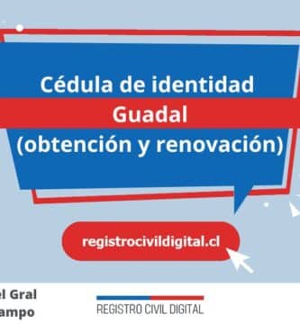 Cedula de identidad para chilenos en aysen del gral carlos ibanez del campo guadal