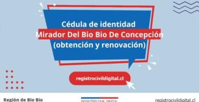 Cédula de identidad en mirador del bio bio de concepcion (obtención y renovación) 4 Cedula de identidad para chilenos en biobio mirador del bio bio de concepcion