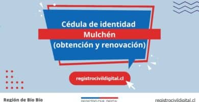 Cédula de identidad en mulchen (obtención y renovación) 7 Cedula de identidad para chilenos en biobio mulchen