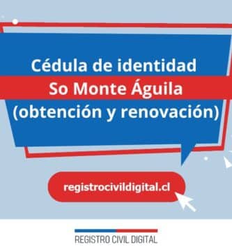 Cédula de identidad en so monte aguila (obtención y renovación) 3 Cedula de identidad para chilenos en biobio so monte aguila