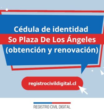 Cedula de identidad para chilenos en biobio so plaza de los angeles