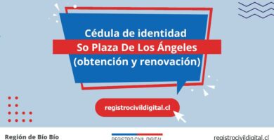 Cédula de identidad en so plaza de los angeles (obtención y renovación) 4 Cedula de identidad para chilenos en biobio so plaza de los angeles