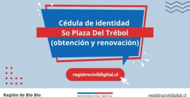 Cédula de identidad en so plaza del trebol (obtención y renovación) 7 Cedula de identidad para chilenos en biobio so plaza del trebol