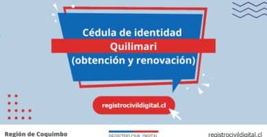 Cédula de identidad en quilimari (obtención y renovación) 5 Cedula de identidad para chilenos en coquimbo quilimari