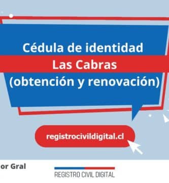 Cedula de identidad para chilenos en libertador gral bernardo ohiggins las cabras