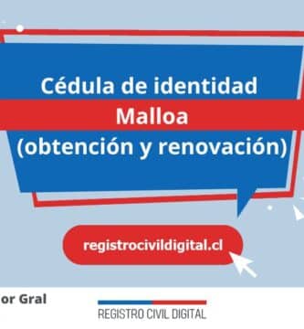 Cedula de identidad para chilenos en libertador gral bernardo ohiggins malloa