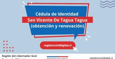 Cedula de identidad para chilenos en libertador gral bernardo ohiggins san vicente de tagua tagua