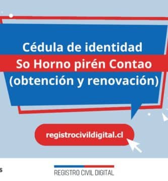 Cedula de identidad para chilenos en los lagos so hornopiren contao