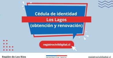Cedula de identidad para chilenos en los rios los lagos