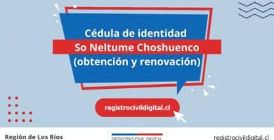 Cedula de identidad para chilenos en los rios so neltume choshuenco