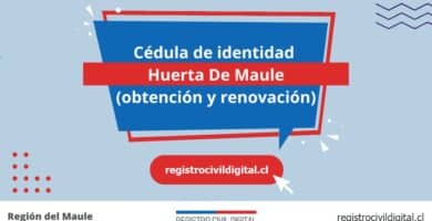 Cedula de identidad para chilenos en maule huerta de maule