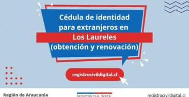 Cédula de identidad para extranjeros en los laureles 10 Cedula de identidad para extranjeros en araucania los laureles