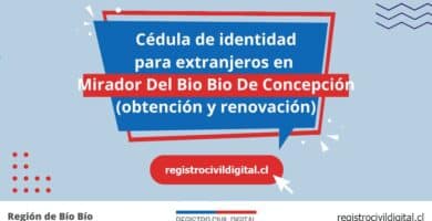 Cédula de identidad para extranjeros en mirador del bio bio de concepcion 5 Cedula de identidad para extranjeros en biobio mirador del bio bio de concepcion