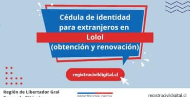Cedula de identidad para extranjeros en libertador gral bernardo ohiggins lolol