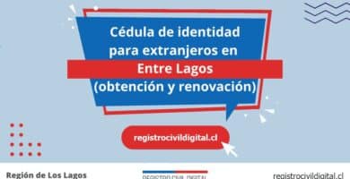 Cedula de identidad para extranjeros en los lagos entre lagos