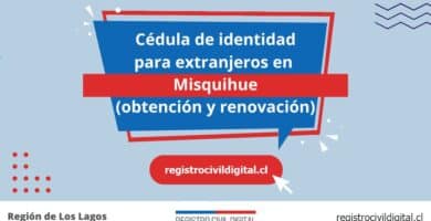 Cédula de identidad para extranjeros en misquihue 6 Cedula de identidad para extranjeros en los lagos misquihue