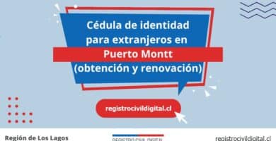 Cedula de identidad para extranjeros en los lagos puerto montt