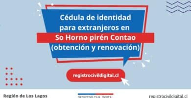 Cedula de identidad para extranjeros en los lagos so hornopiren contao
