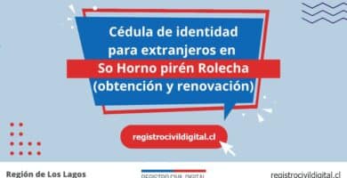 Cedula de identidad para extranjeros en los lagos so hornopiren rolecha