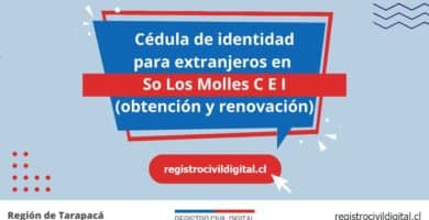 Cedula de identidad para extranjeros en tarapaca so los molles c e i
