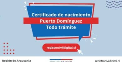 Certificado nacimiento todo tramite en araucania puerto dominguez