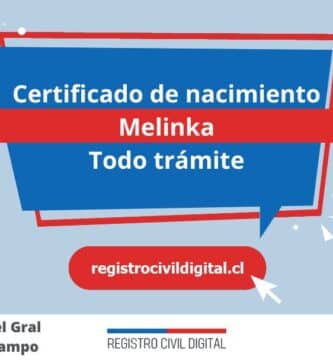 Certificado nacimiento todo tramite en aysen del gral carlos ibanez del campo melinka