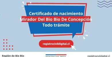 Certificado de nacimiento en mirador del bio bio de concepcion (todo trámite) 10 Certificado nacimiento todo tramite en biobio mirador del bio bio de concepcion