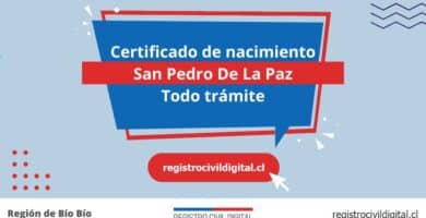 Certificado de nacimiento en san pedro de la paz (todo trámite) 9 Certificado nacimiento todo tramite en biobio san pedro de la paz