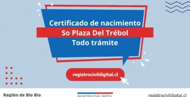 Certificado de nacimiento en so plaza del trebol (todo trámite) 4 Certificado nacimiento todo tramite en biobio so plaza del trebol