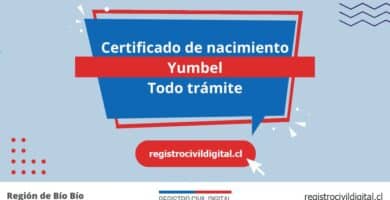 Certificado de nacimiento en yumbel (todo trámite) 4 Certificado nacimiento todo tramite en biobio yumbel