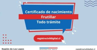 Certificado de nacimiento en frutillar (todo trámite) 6 Certificado nacimiento todo tramite en los lagos frutillar