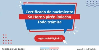 Certificado nacimiento todo tramite en los lagos so hornopiren rolecha