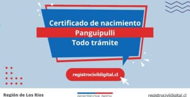 Certificado de nacimiento en panguipulli (todo trámite) 10 Certificado nacimiento todo tramite en los rios panguipulli