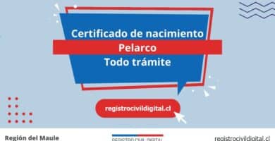 Certificado nacimiento todo tramite en maule pelarco