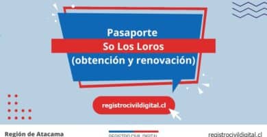 Pasaporte en so los loros (obtención y renovación) 4 Sacar pasaporte en atacama so los loros