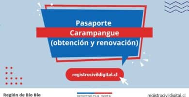 Sacar pasaporte en biobio carampangue