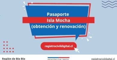Sacar pasaporte en biobio isla mocha