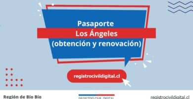 Sacar pasaporte en biobio los angeles