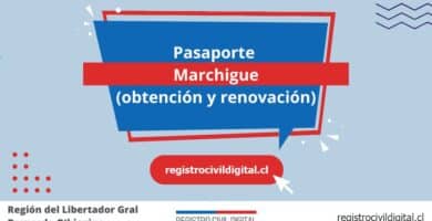 Pasaporte en marchigue (obtención y renovación) 8 Sacar pasaporte en libertador gral bernardo ohiggins marchigue