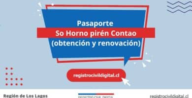 Pasaporte en so hornopiren contao (obtención y renovación) 8 Sacar pasaporte en los lagos so hornopiren contao