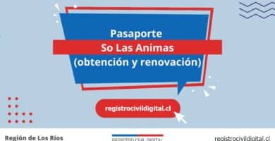 Pasaporte en so las animas (obtención y renovación) 10 Sacar pasaporte en los rios so las animas